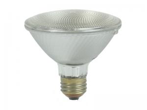 PAR 30 Halogen Replacement Bulb